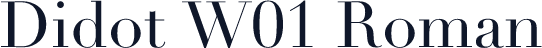 Didot W01 Roman
