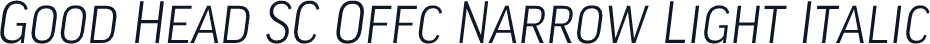 Good Head SC Offc Narrow Light Italic