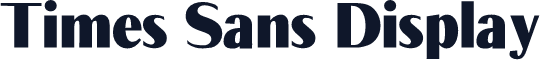 Times Sans Display