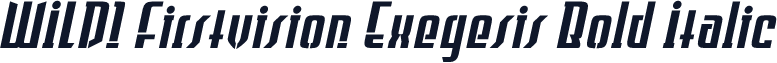 WILD1 Firstvision Exegesis Bold Italic