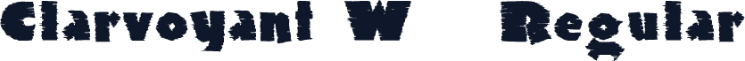 Clarvoyant W05 Regular
