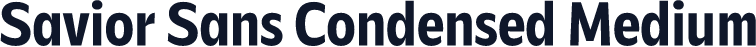 Savior Sans Condensed Medium