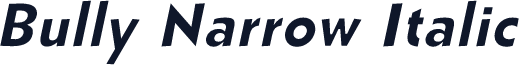 Bully Narrow Italic