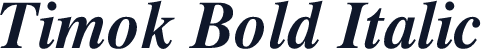 Timok Bold Italic