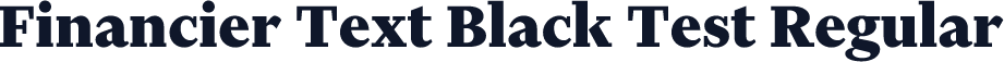 Financier Text Black Test Regular
