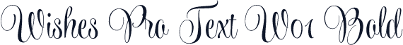 Wishes Pro Text W01 Bold