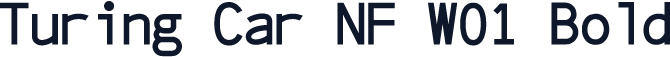 Turing Car NF W01 Bold