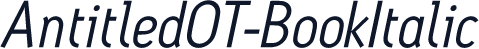 AntitledOT-BookItalic