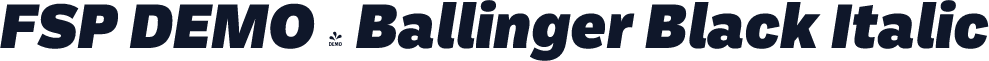 FSP DEMO - Ballinger Black Italic