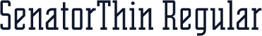 SenatorThin Regular