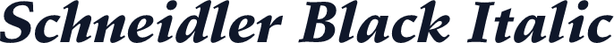 Schneidler Black Italic