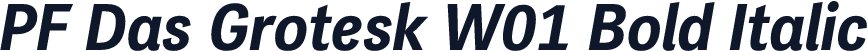 PF Das Grotesk W01 Bold Italic