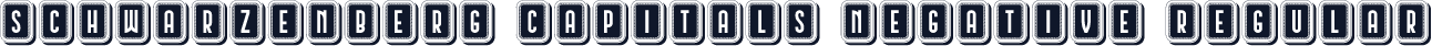 Schwarzenberg Capitals Negative Regular