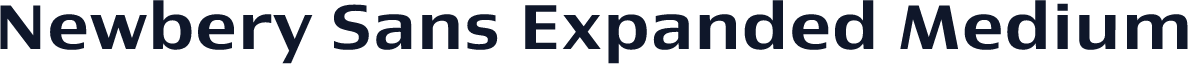 Newbery Sans Expanded Medium