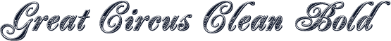 Great Circus Clean Bold
