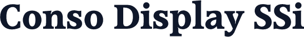 Conso Display SSi