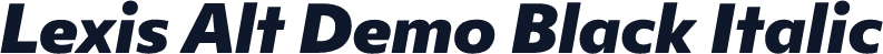 Lexis Alt Demo Black Italic