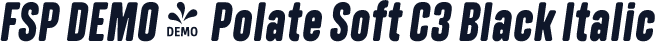 FSP DEMO - Polate Soft C3 Black Italic