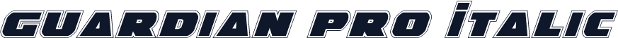 Guardian Pro Italic