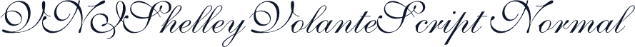 VNIShelleyVolanteScript Normal