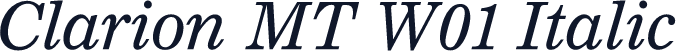 Clarion MT W01 Italic