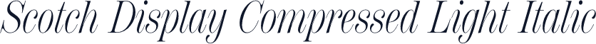 Scotch Display Compressed Light Italic