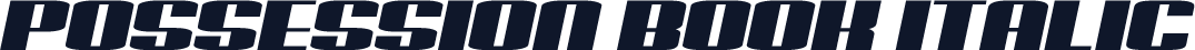 Possession Book Italic