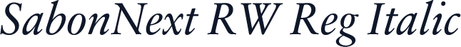 SabonNext RW Reg Italic