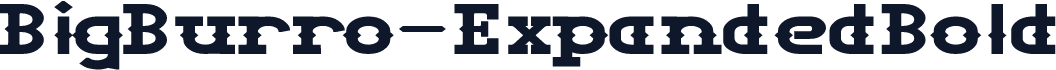 BigBurro-ExpandedBold