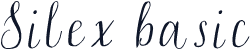Silex basic