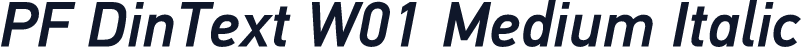 PF DinText W01 Medium Italic