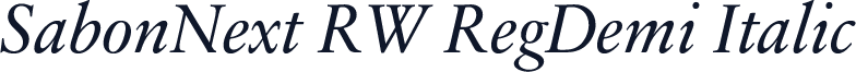 SabonNext RW RegDemi Italic