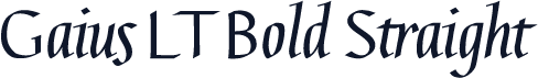 Gaius LT Bold Straight