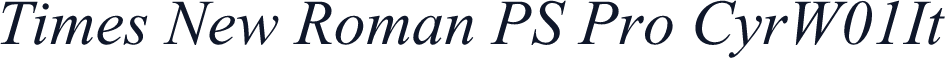 Times New Roman PS Pro CyrW01It