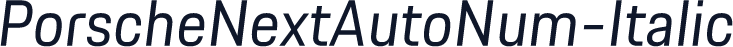 PorscheNextAutoNum-Italic