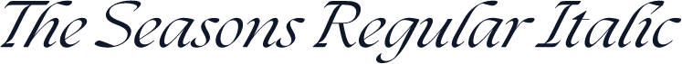 The Seasons Regular Italic