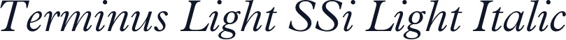 Terminus Light SSi Light Italic