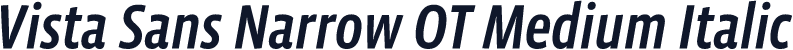 Vista Sans Narrow OT Medium Italic