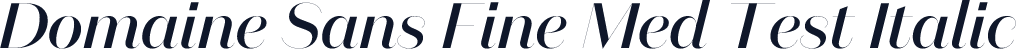Domaine Sans Fine Med Test Italic