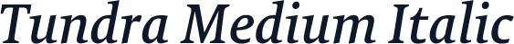 Tundra Medium Italic