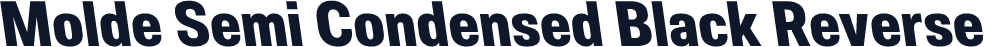 Molde Semi Condensed Black Reverse