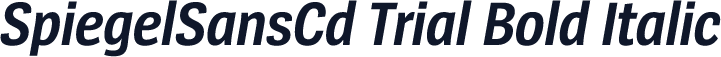 SpiegelSansCd Trial Bold Italic