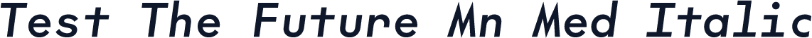 Test The Future Mn Med Italic