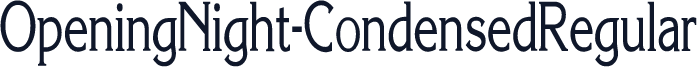 OpeningNight-CondensedRegular