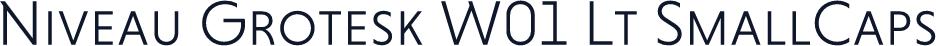 Niveau Grotesk W01 Lt SmallCaps