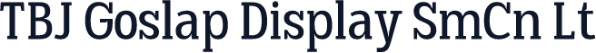 TBJ Goslap Display SmCn Lt