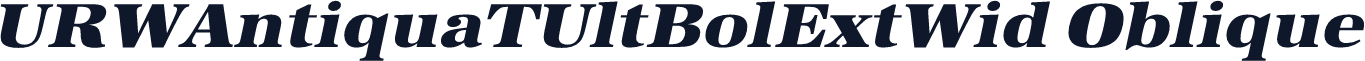 URWAntiquaTUltBolExtWid Oblique