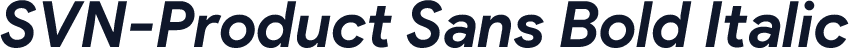 SVN-Product Sans Bold Italic