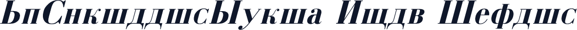MgCyrillicSerif Bold Italic