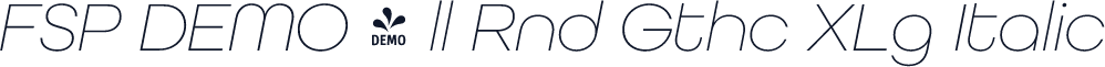 FSP DEMO - ll Rnd Gthc XLg Italic